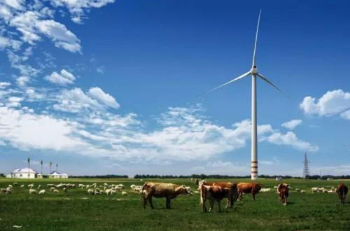 科技型中小企业认定